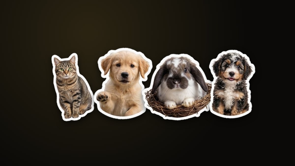 Die-cut stickers of a cat, two puppies and a rabbit, each with a white border